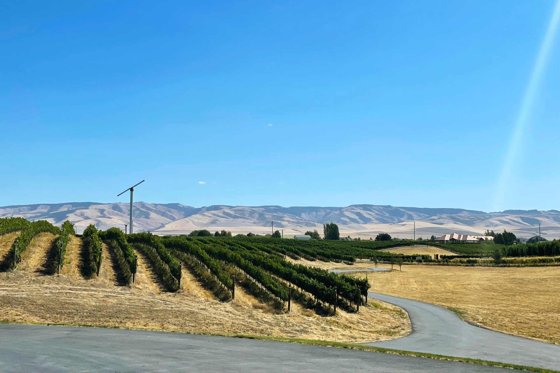 Vineyard Education