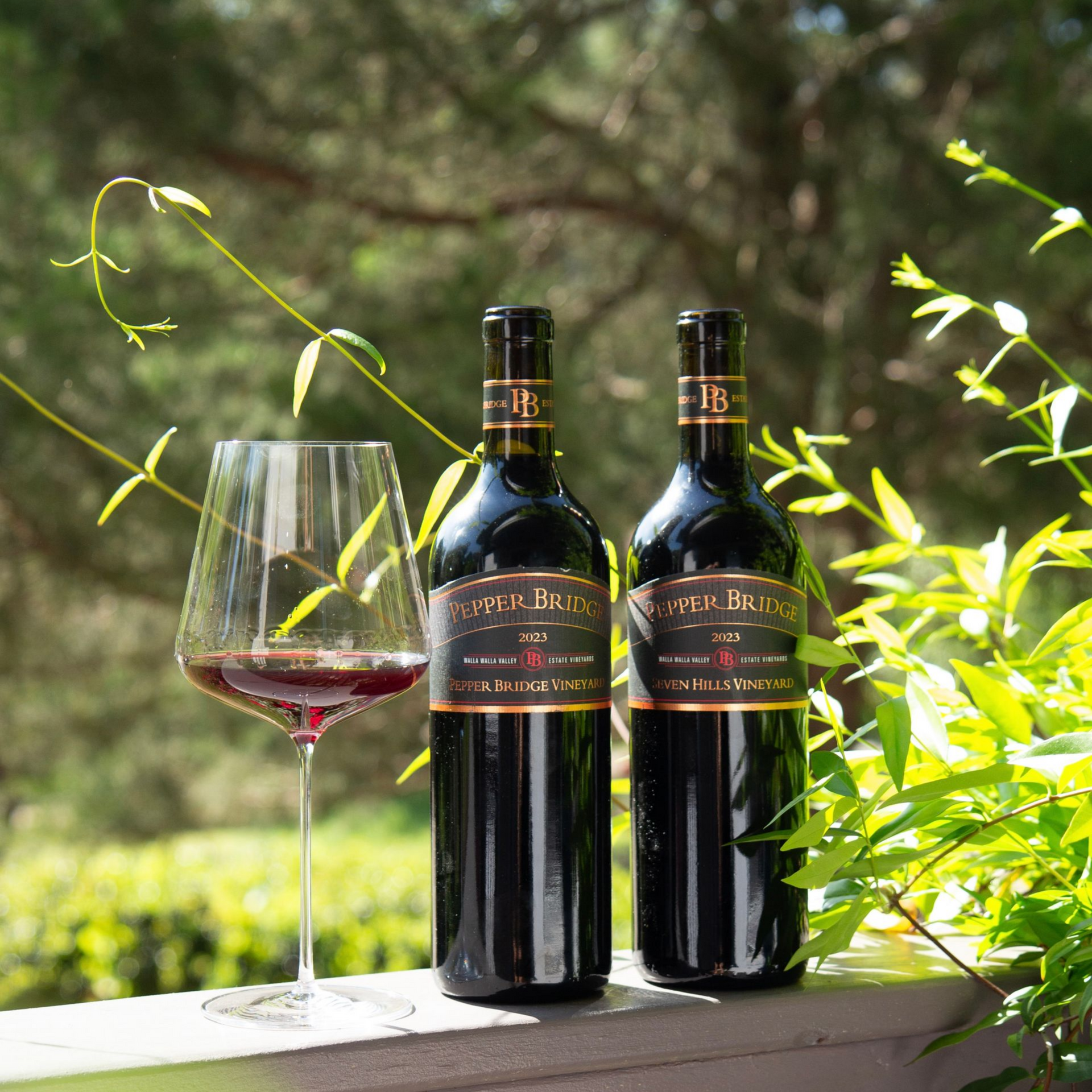 One week access to wine club exclusive wines!