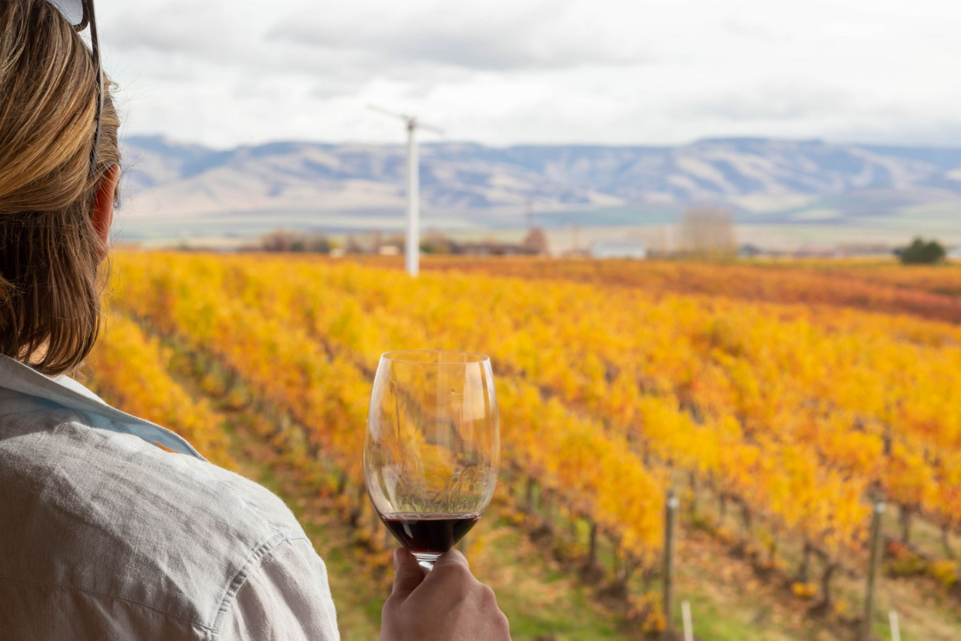 Wine Tasting in Walla Walla, WA