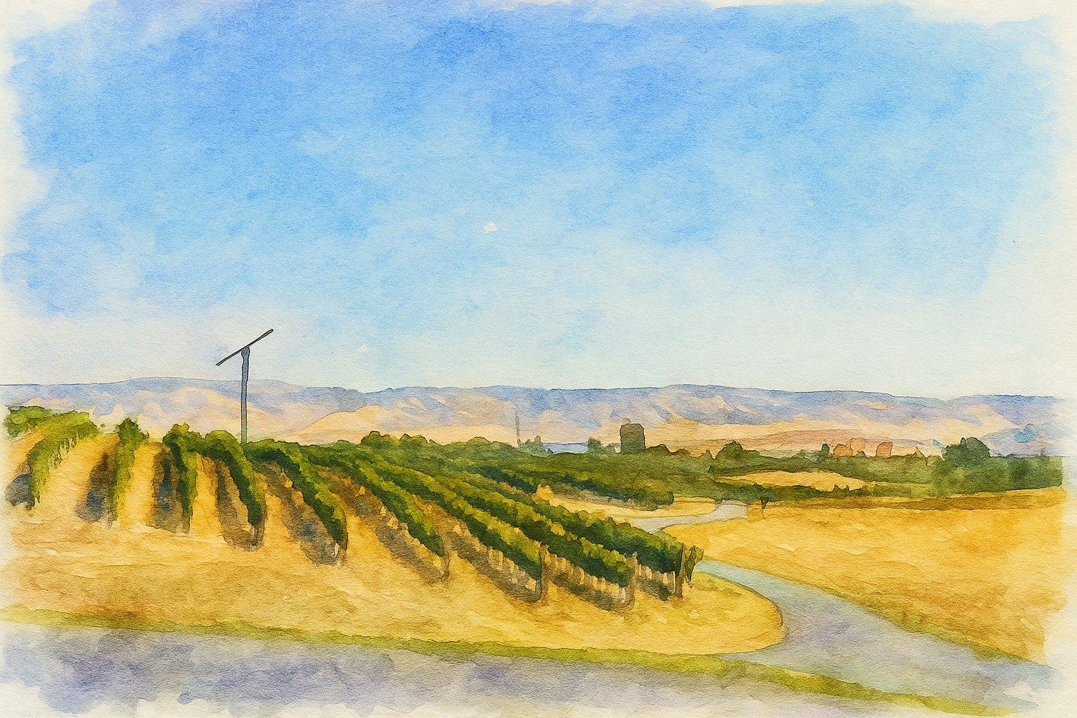 Vineyard Education