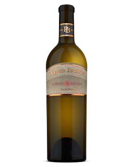 Sauvignon Blanc