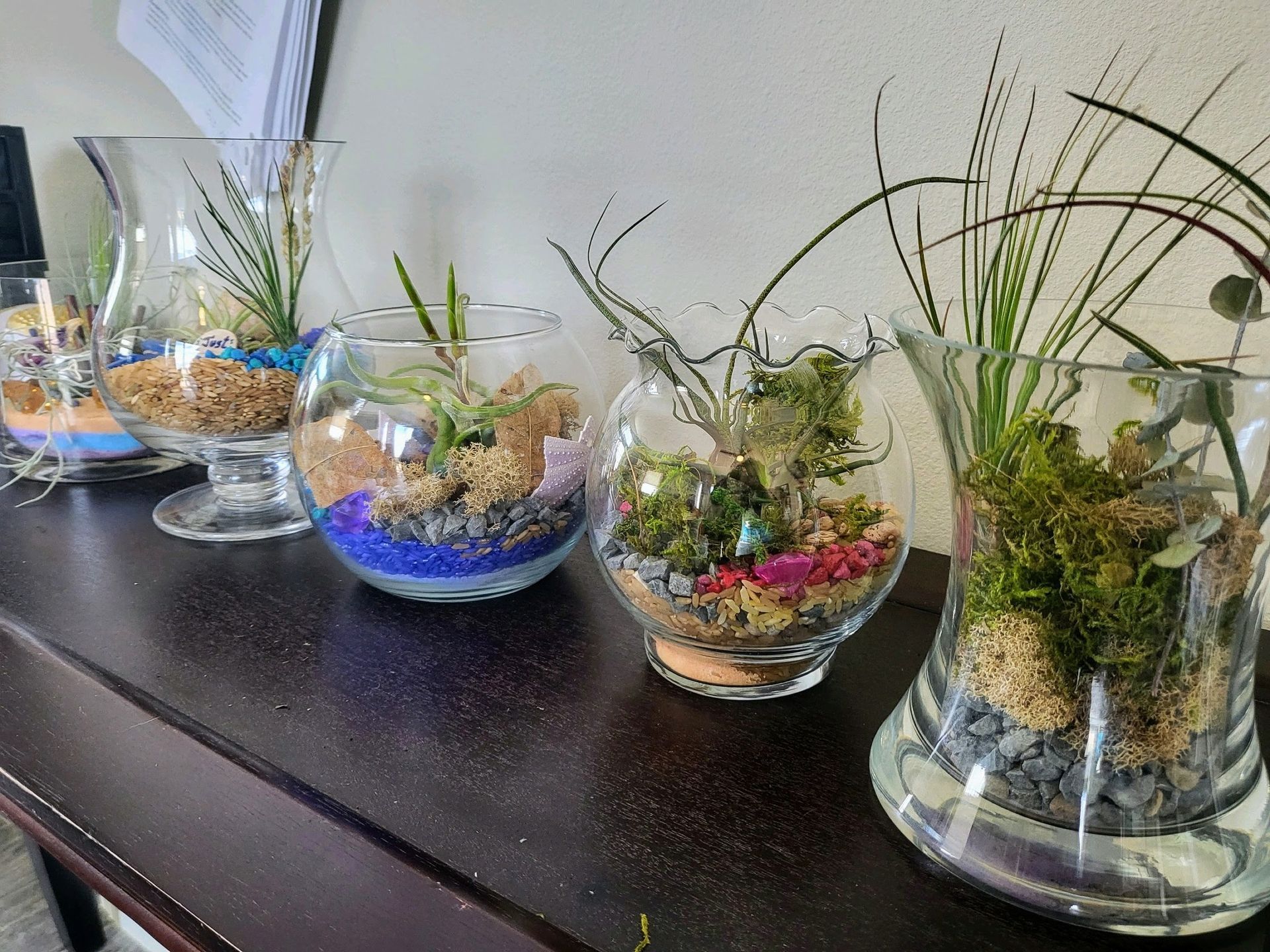 Air plants in terrariums by Suburban Succulents