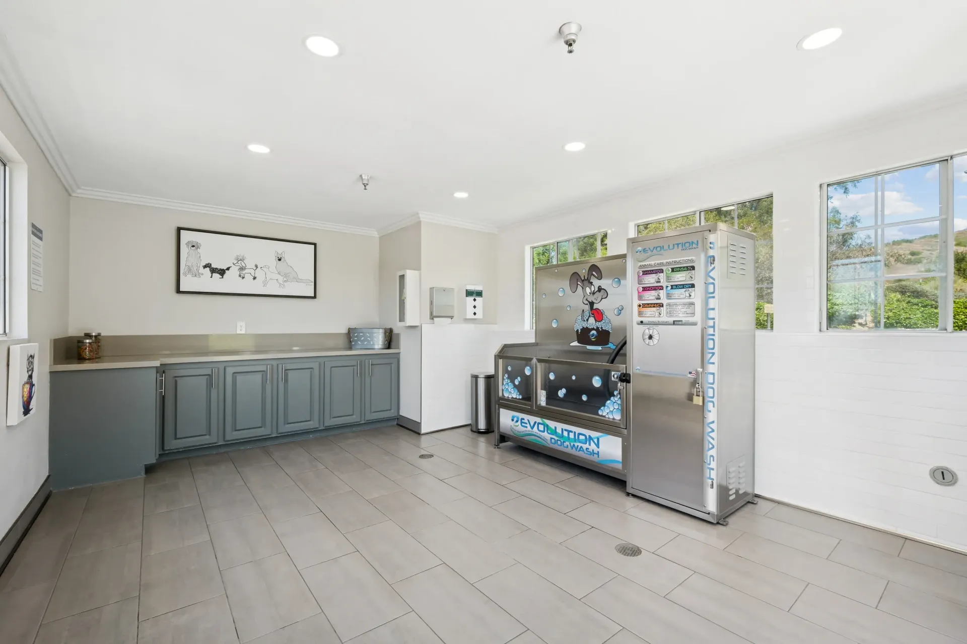Shared laundry room with a dog-wash station, gray cabinetry, and large windows.