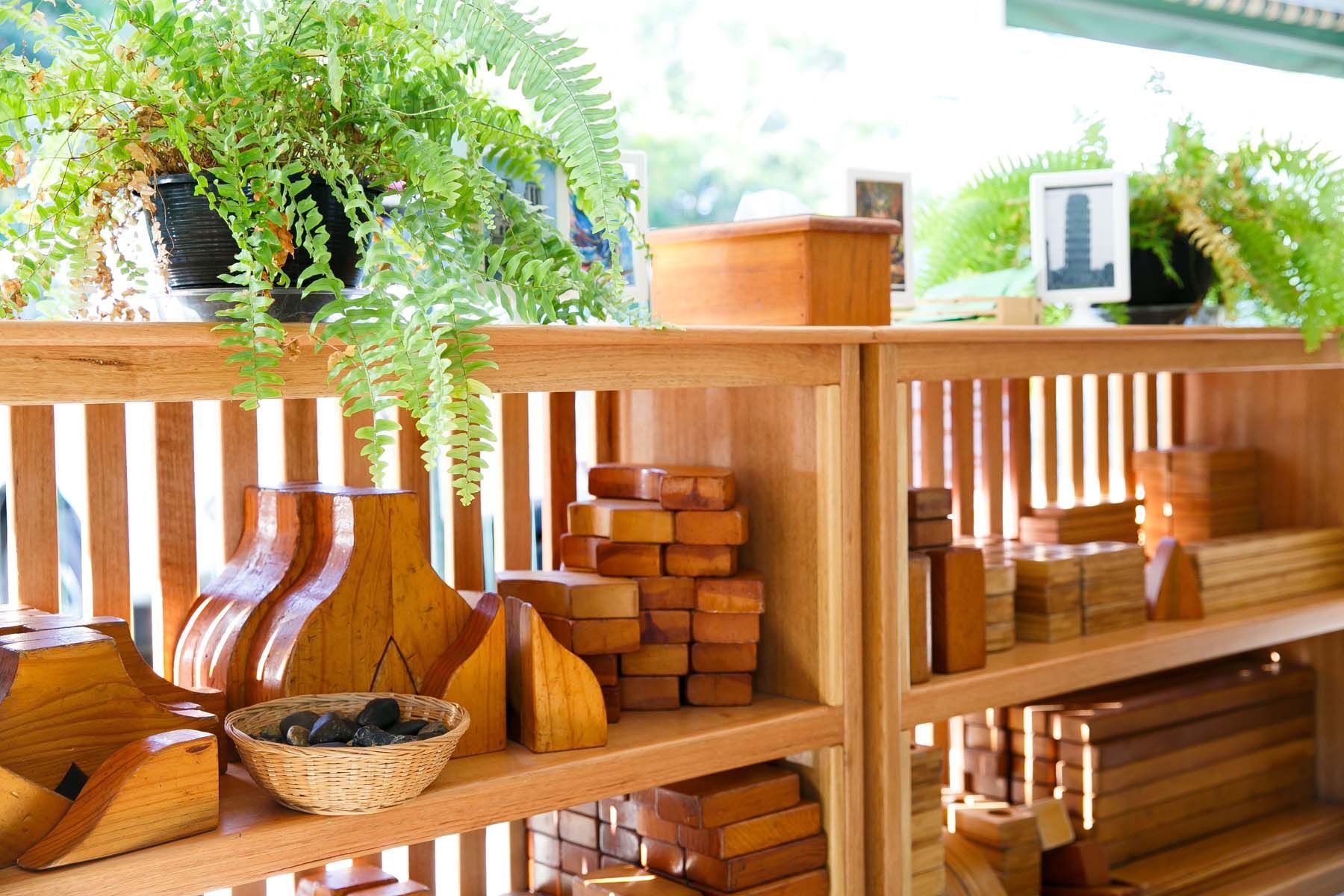 A wooden shelf with a plant on it — Killarney Vale Preschool In Tumbi Umbi, NSW