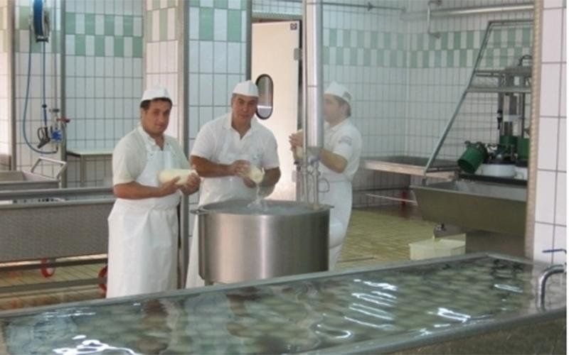 Staff per la lavorazione casearia