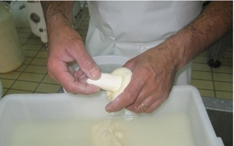 Particolare di un casaro durante la realizzazione di formaggi freschi