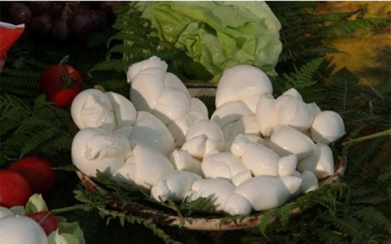 Mozzarella di bufala fresca