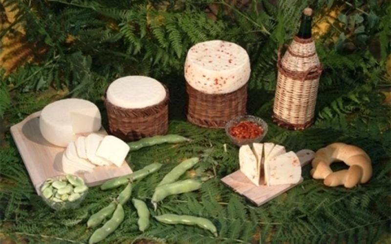 Varie tipologie di formaggi freschi calabresi