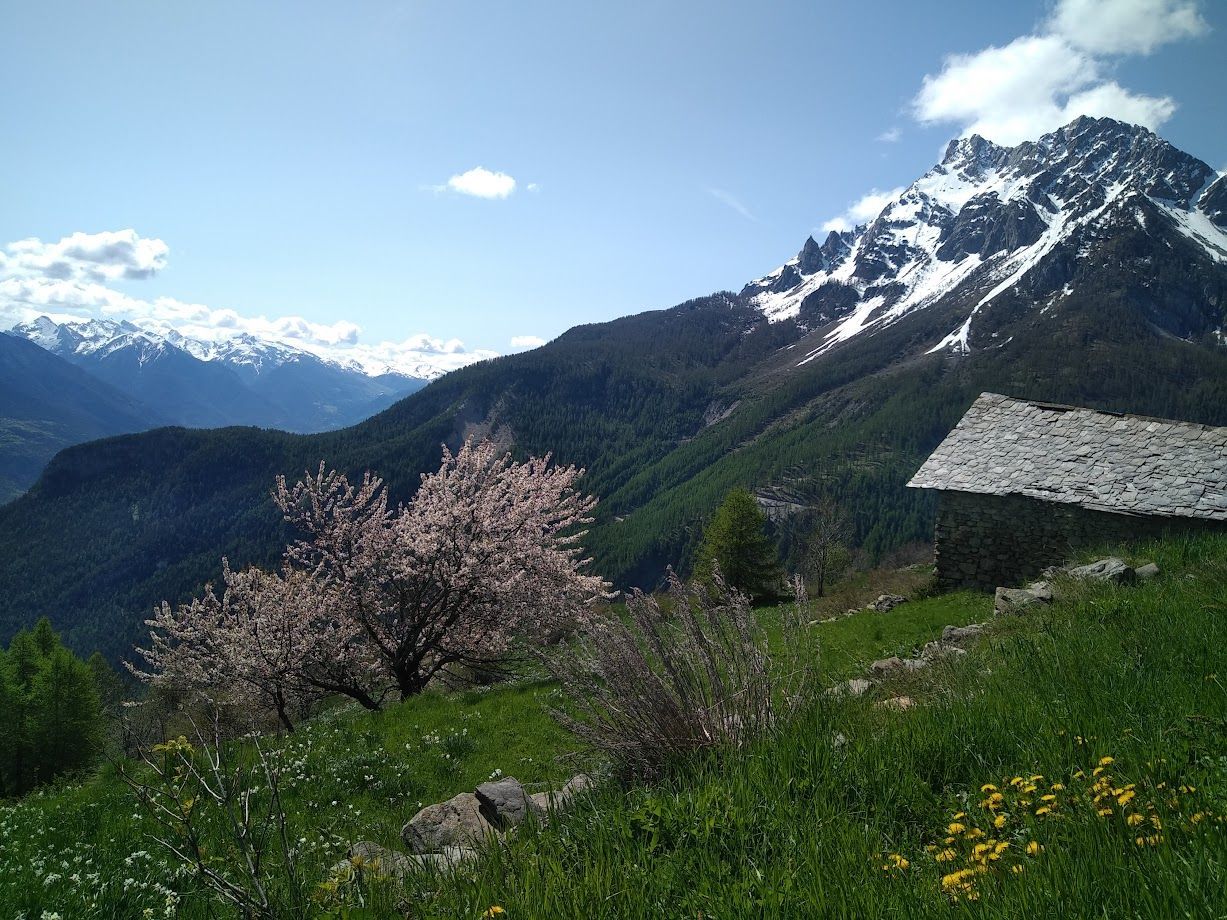 Chalet de montagne à Fressinieres