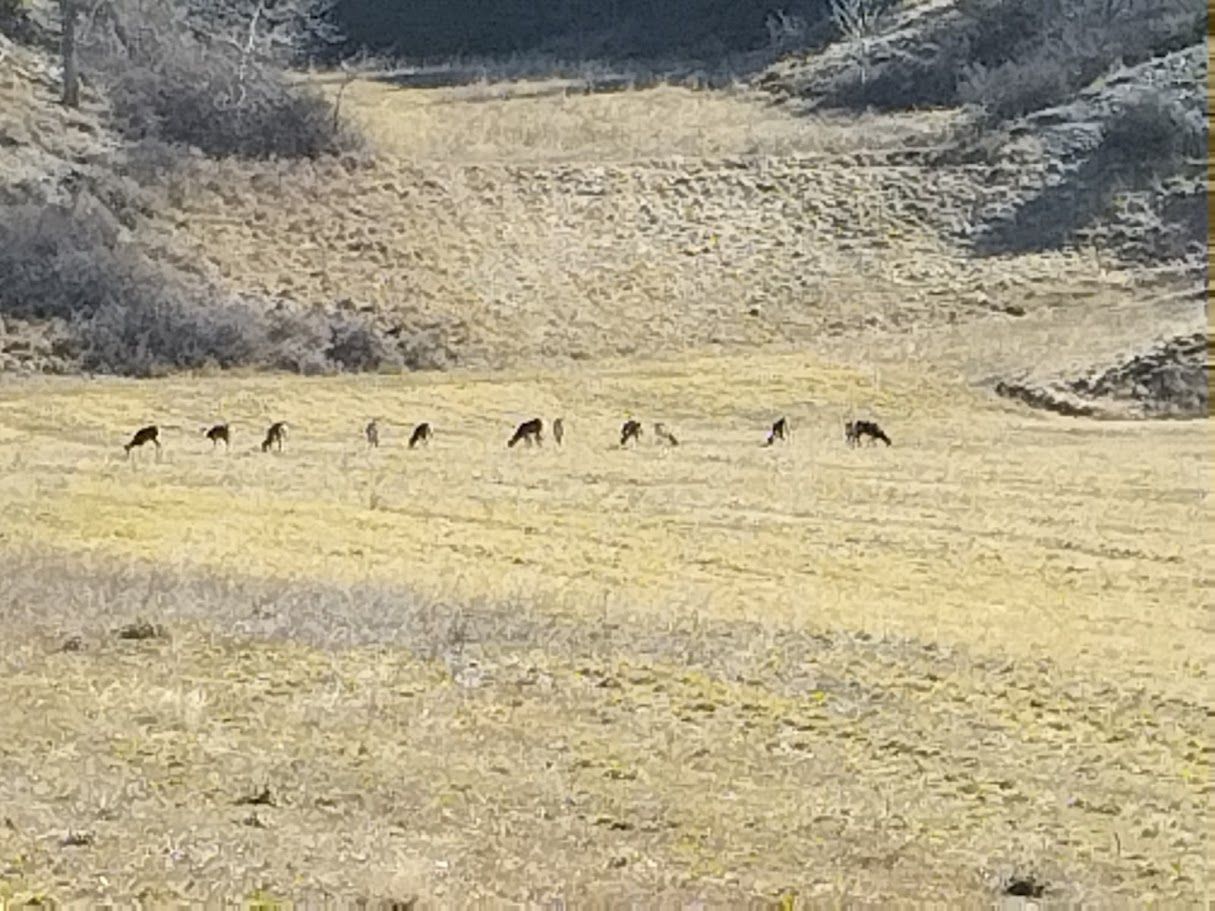 Randonnée au Gros d'Eygliers