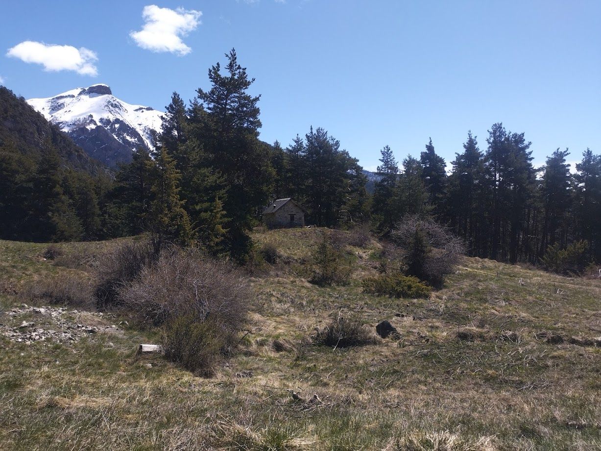 Randonnée au Morgonnet