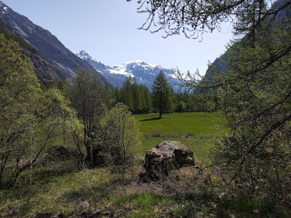 Randonnée au Morgonnet
