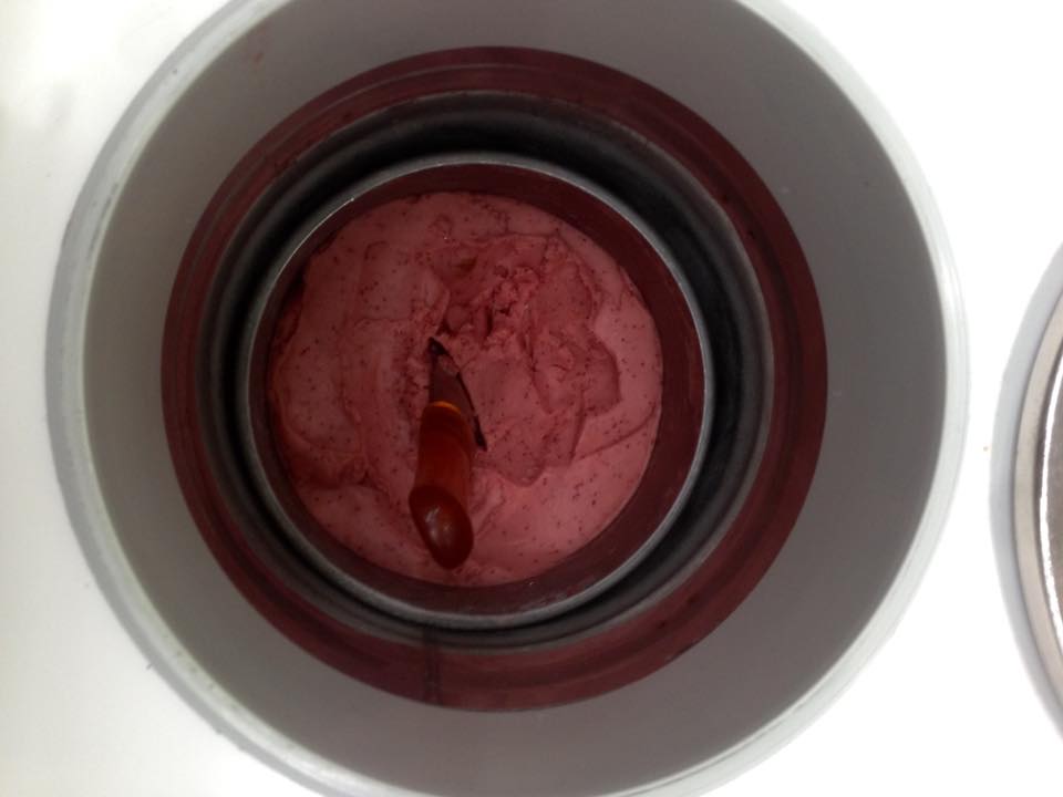 Torta gelato alla frutta