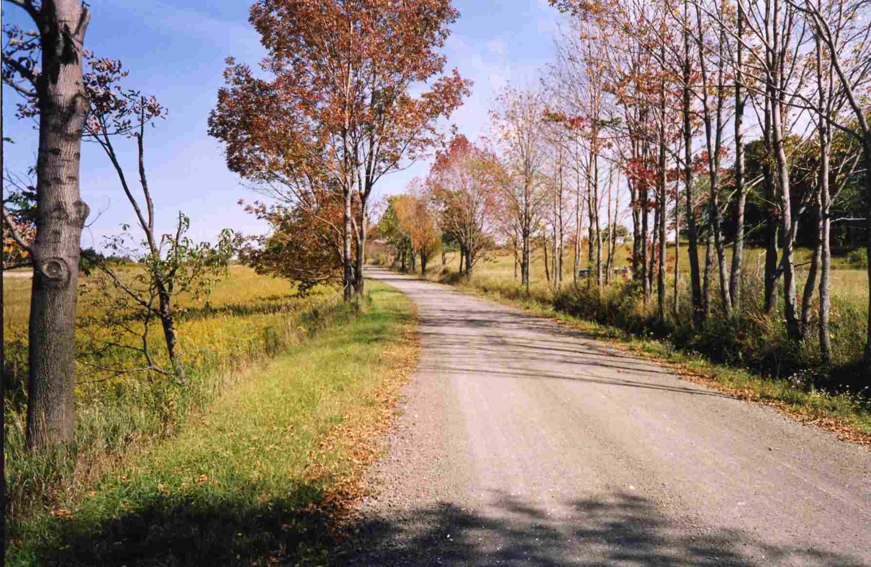 A dirt road winds through a sunny autumn landscape with golden fields and trees displaying orange and brown foliage.