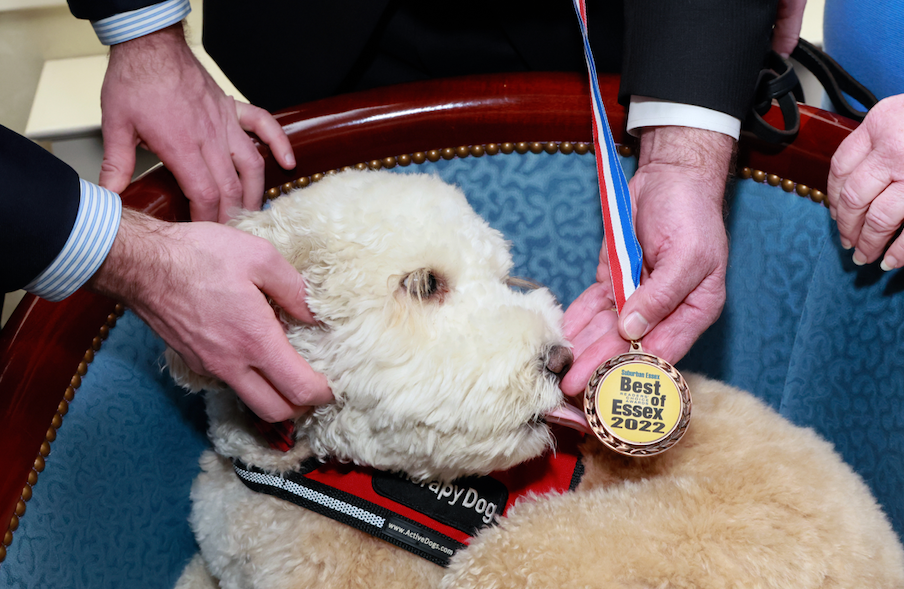 A dog in a therapy vest licks a medal held by a person in a suit, surrounded by others in a formal setting.