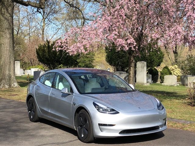 A silver Tesla Model 3 parked on a path in a cemetery with a blooming cherry blossom tree in the background.