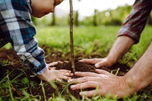 A child and a man planting a sapling or tree