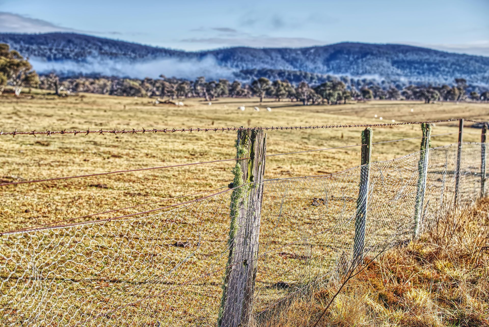 A fence surrounds a dry grassy field with mountains in the background.