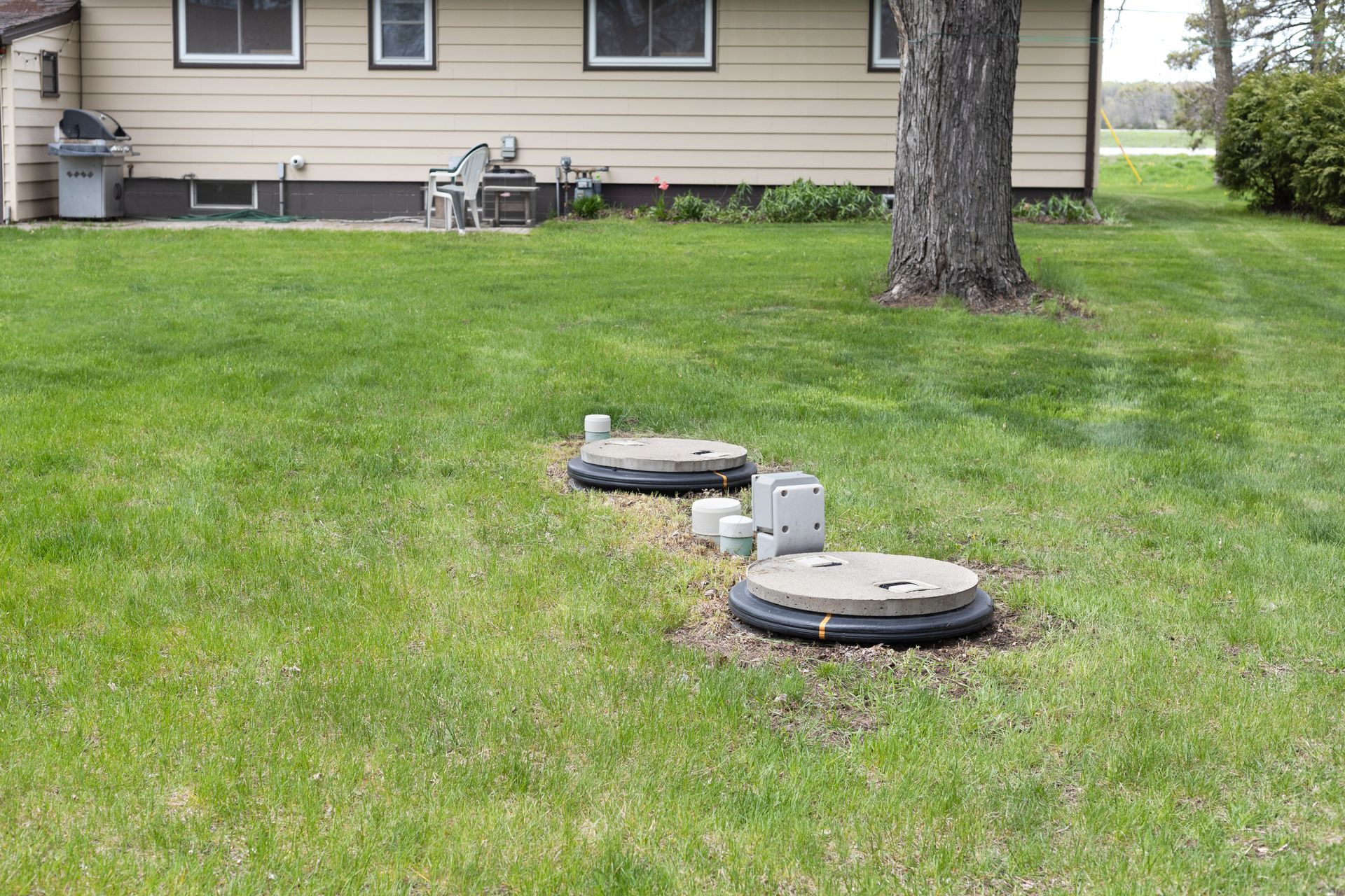 Backyard lawn with two round utility covers near a house and a large tree trunk
