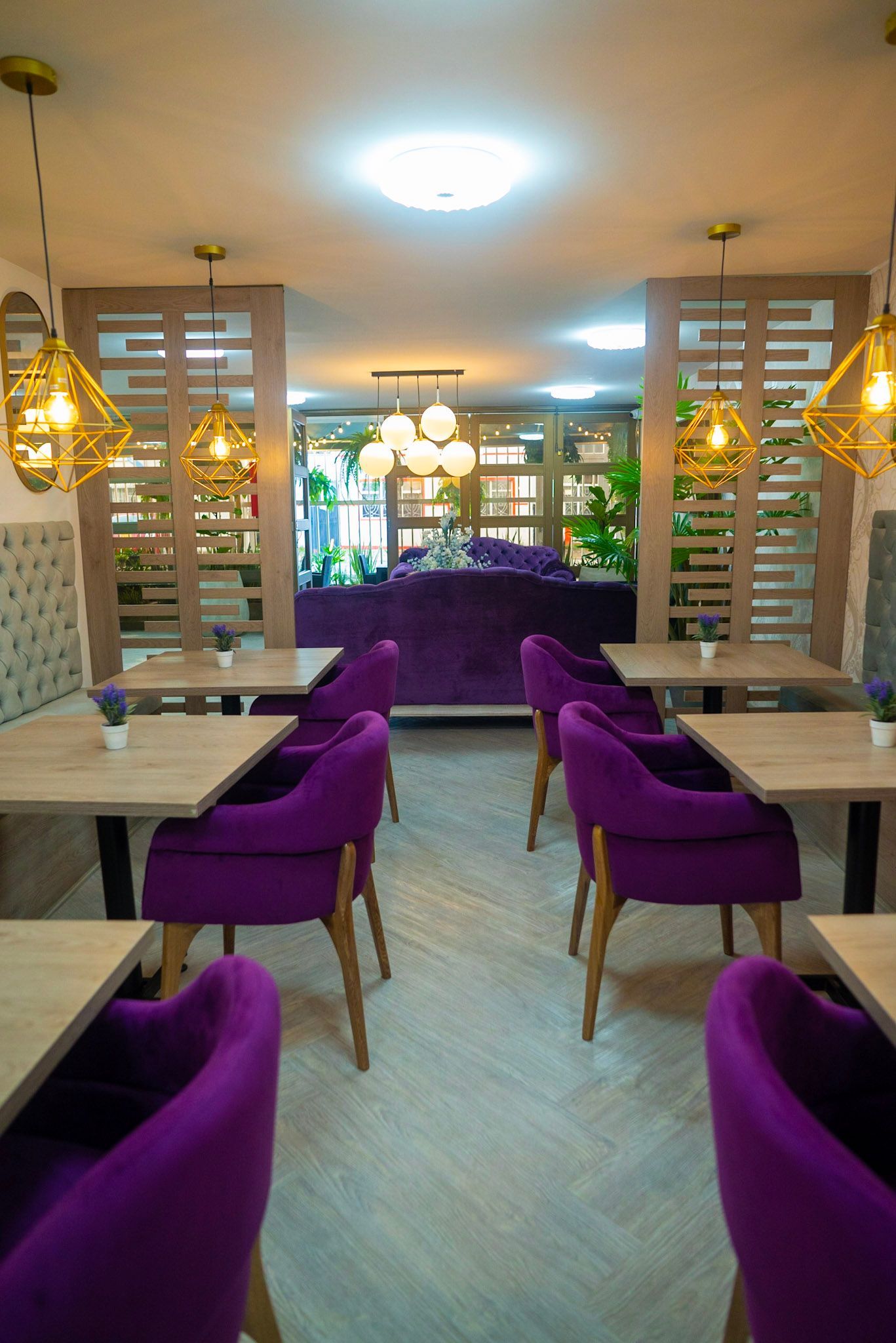 Un interior de restaurante moderno con mesas de madera clara y sillas tapizadas de color morado vibrante bajo luces geométricas doradas.
