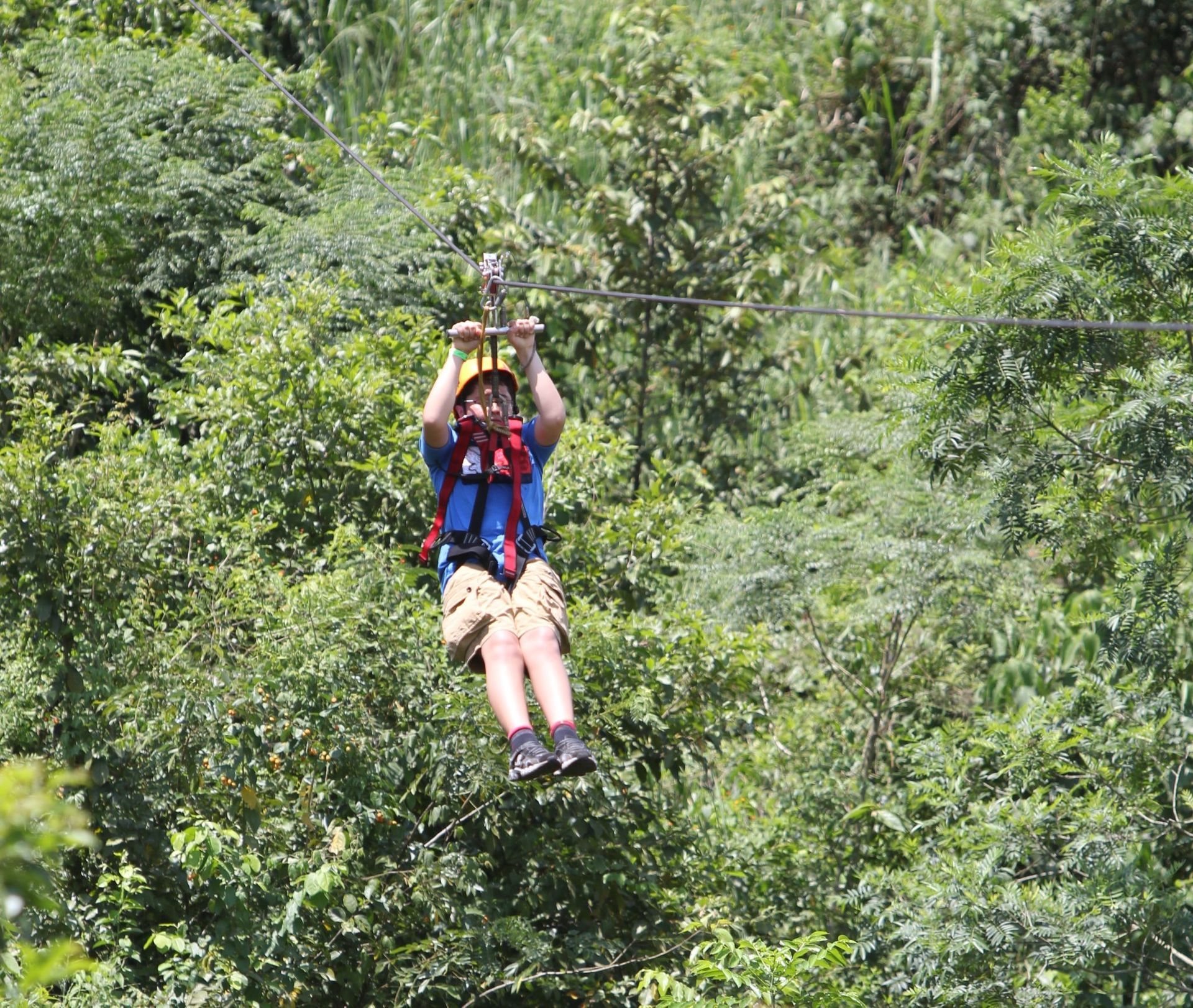 Una persona que lleva un casco amarillo y un arnés de seguridad se lanza en tirolina a través de un exuberante y verde dosel forestal.