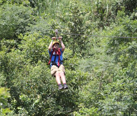 Una persona que lleva un casco amarillo y un arnés de seguridad se lanza en tirolina a través de un exuberante y verde dosel forestal.
