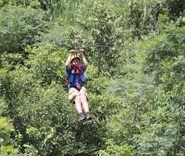 Una persona que lleva un casco amarillo y un arnés de seguridad se lanza en tirolina a través de un exuberante y verde dosel forestal.