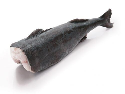 Seafood Supplier Malaysia | Fresh Yields Sdn Bhd