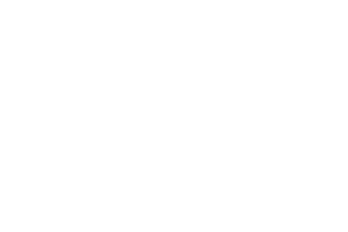 Officina Meccanica Italcamion - Logo