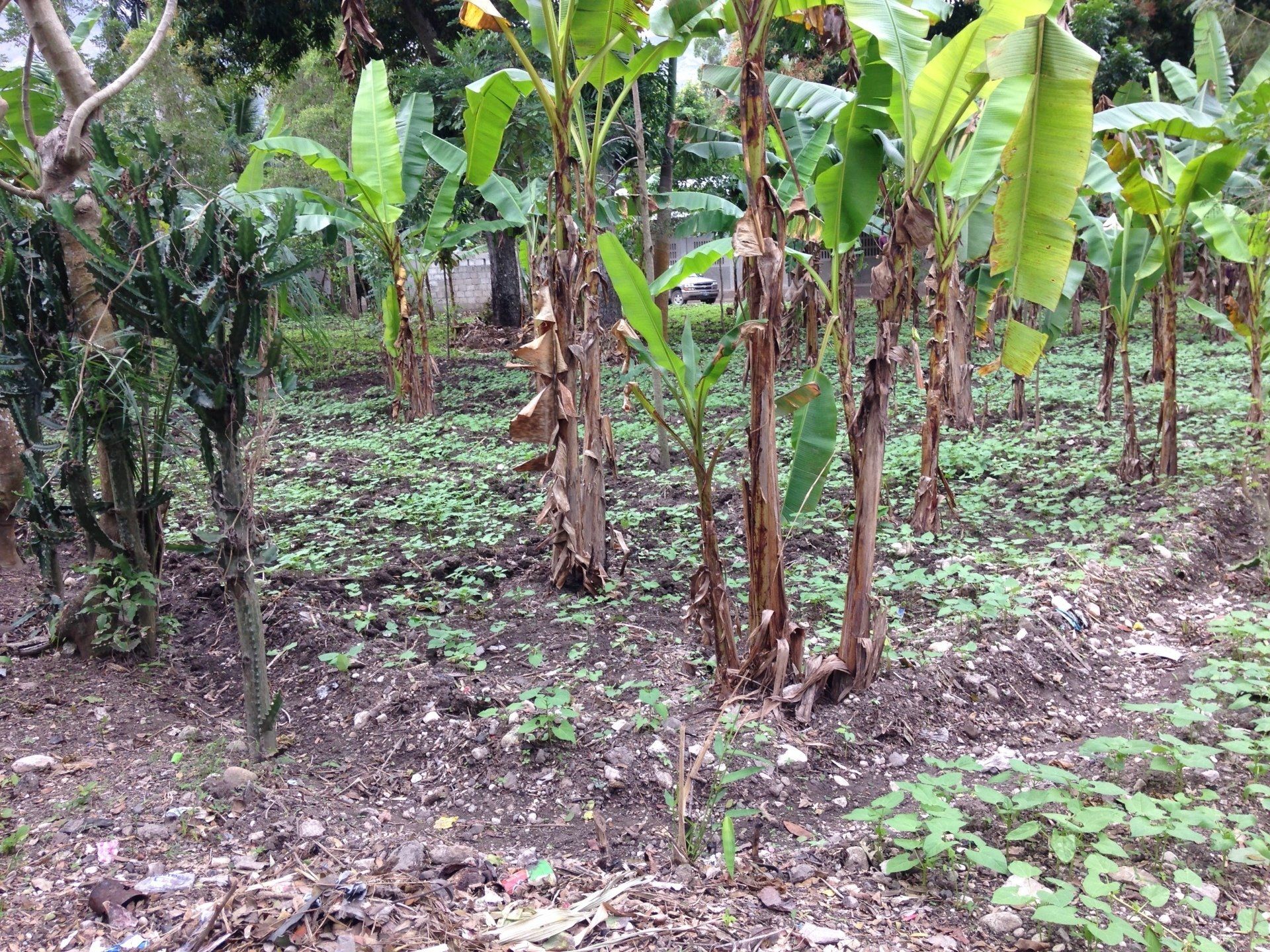 Middle Creek Sister Church