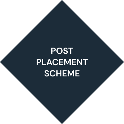 A blue diamond with the words post placement scheme on it