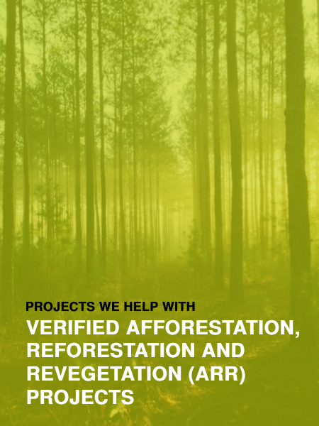 A book titled projects we help with verified afforestation reforestation and re vegetation arr projects