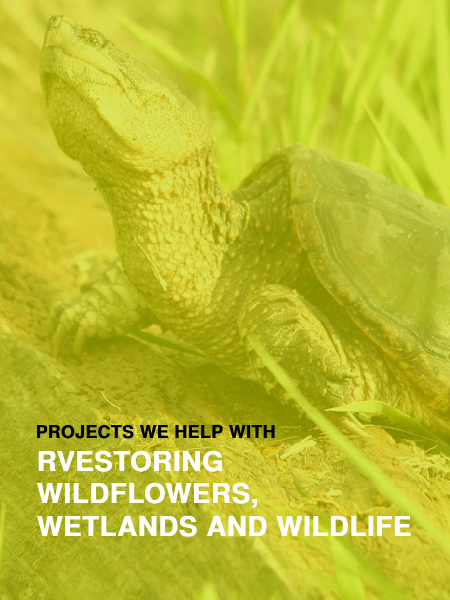 A turtle is on the cover of a book titled projects we help with restoring wildflowers wetlands and wildlife