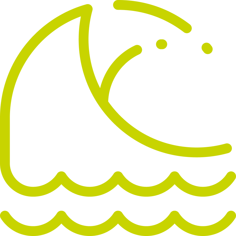 A green line drawing of a wave in the ocean.