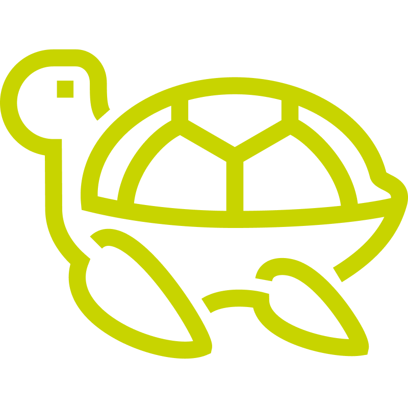 A green line drawing of a turtle on a white background.