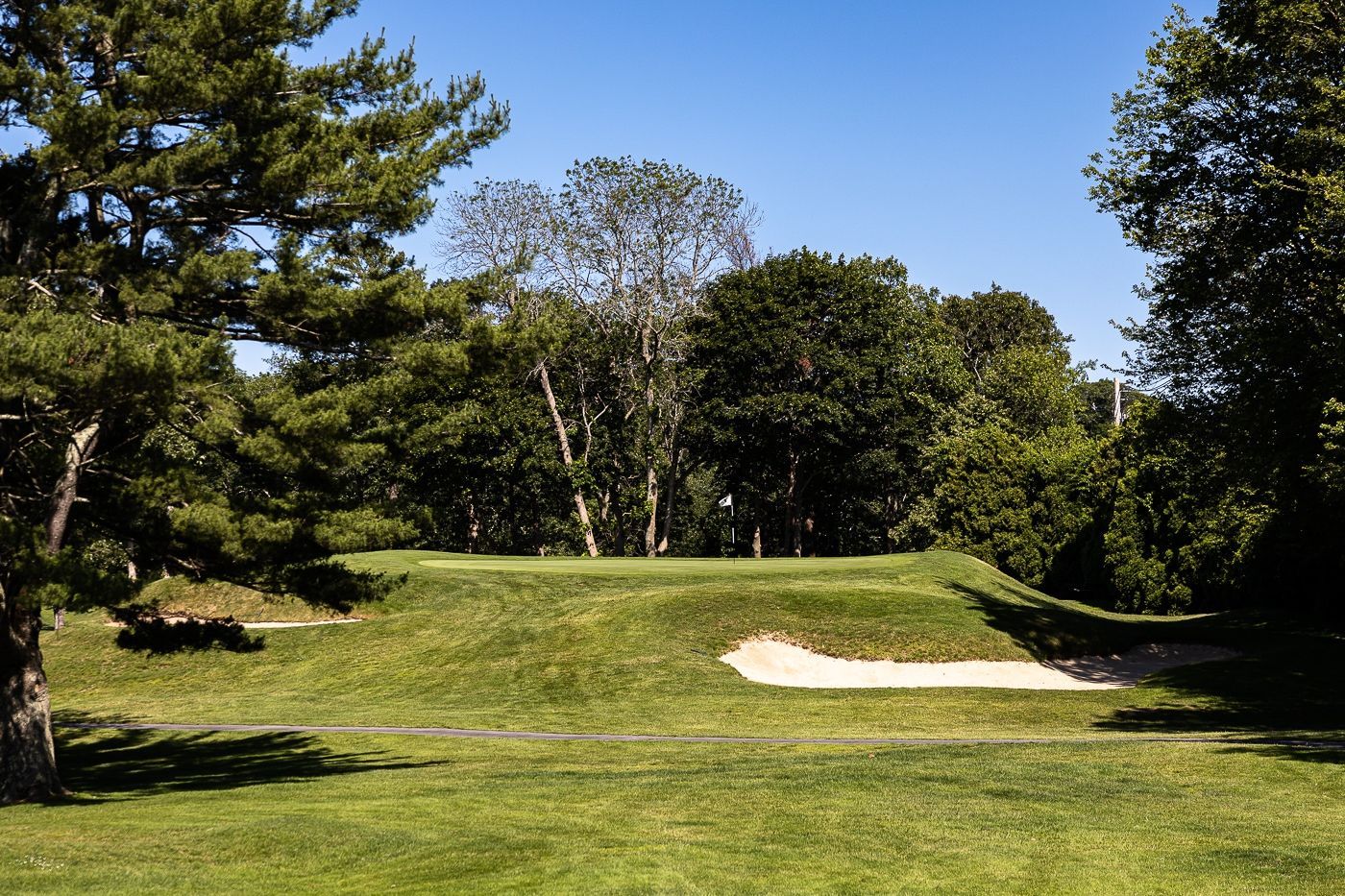 Golf course hole, green in the center with a sand bunker in front, framed by trees under a blue sky.