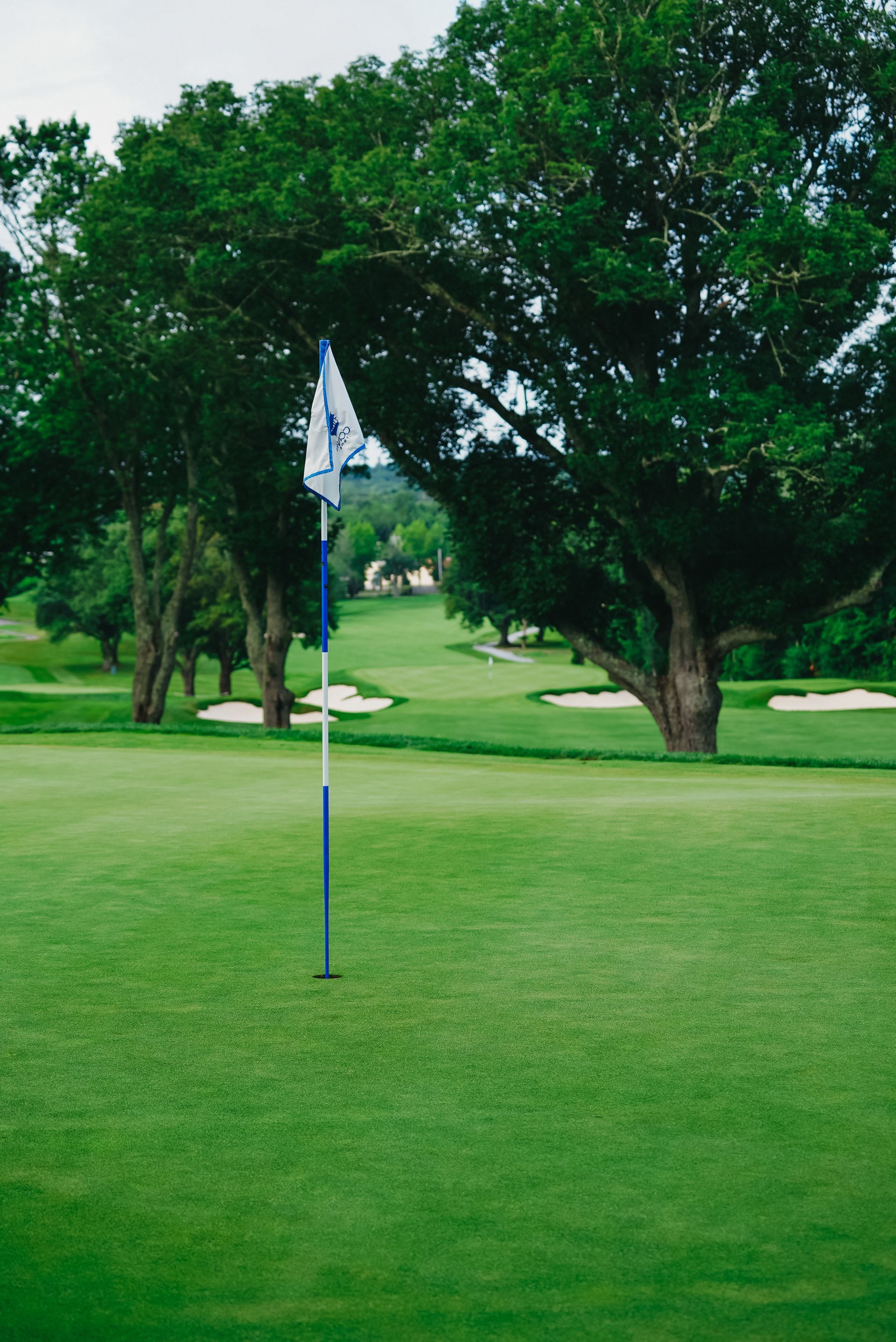 Green golf course with flag, trees, and sand traps.