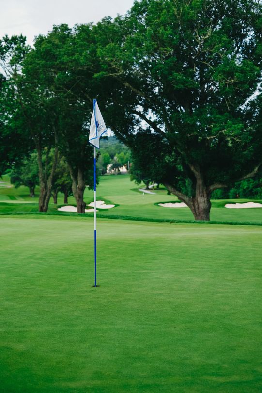 Green golf course with flag, trees, and sand traps.