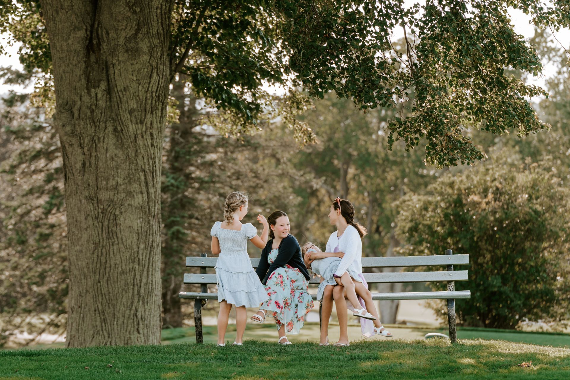 Three people sitting on a park bench under a tree, conversing. One stands facing them. Sunny, outdoor setting.