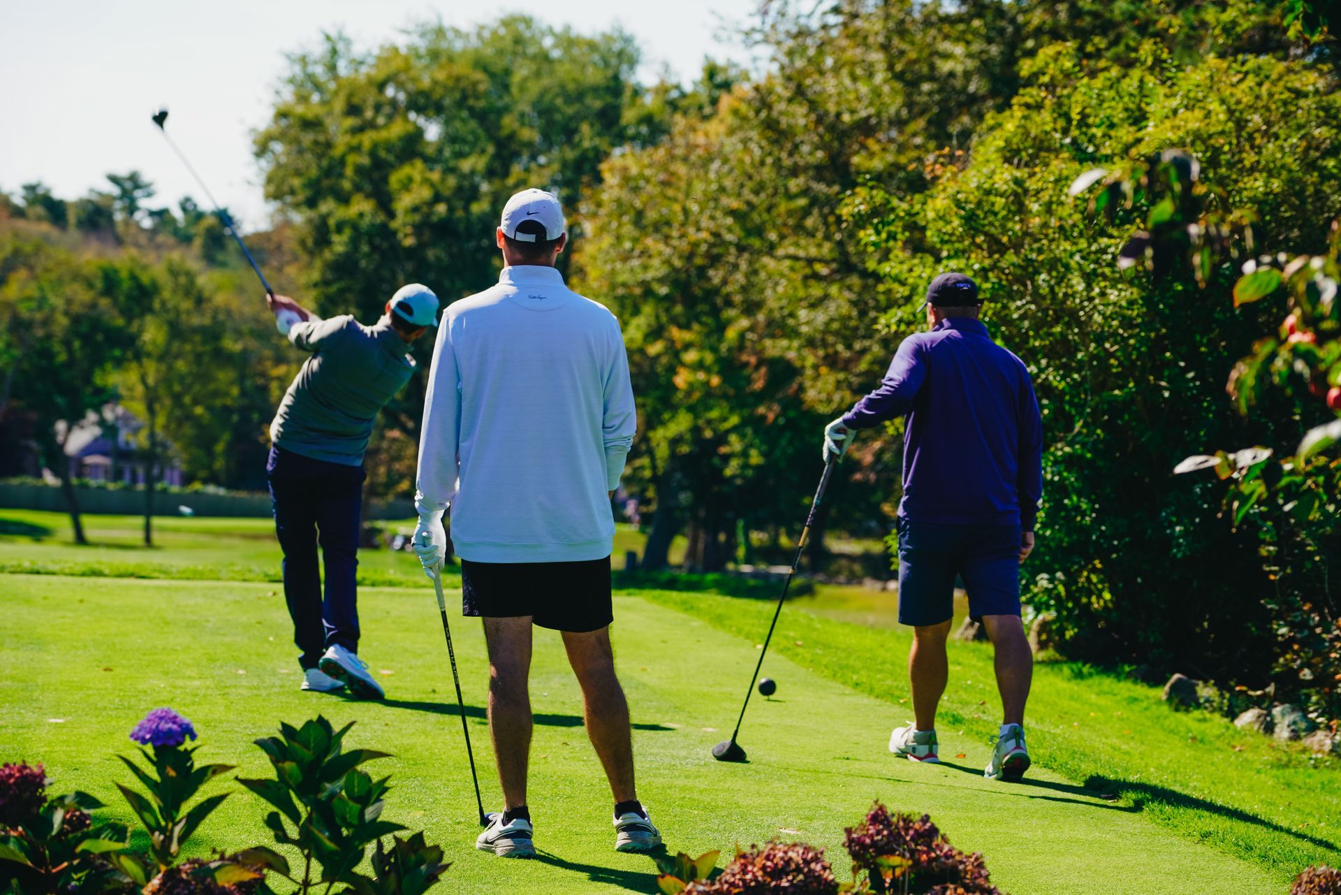 Three golfers on a green: one swinging, two watching. Sunny day with trees and a golf course.