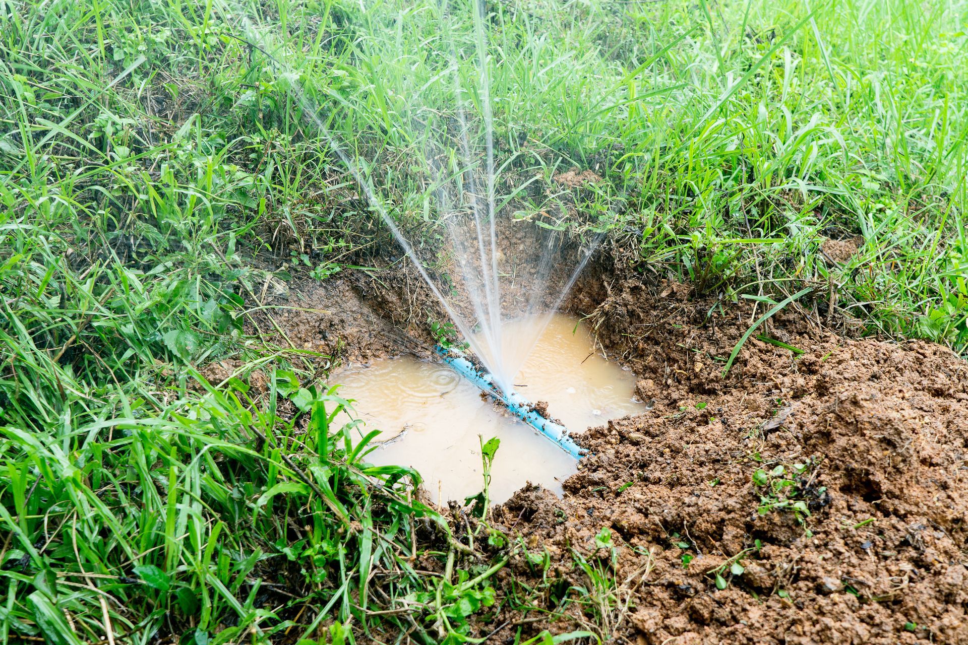 Broken blue irrigation pipe spraying water in a muddy patch of grass