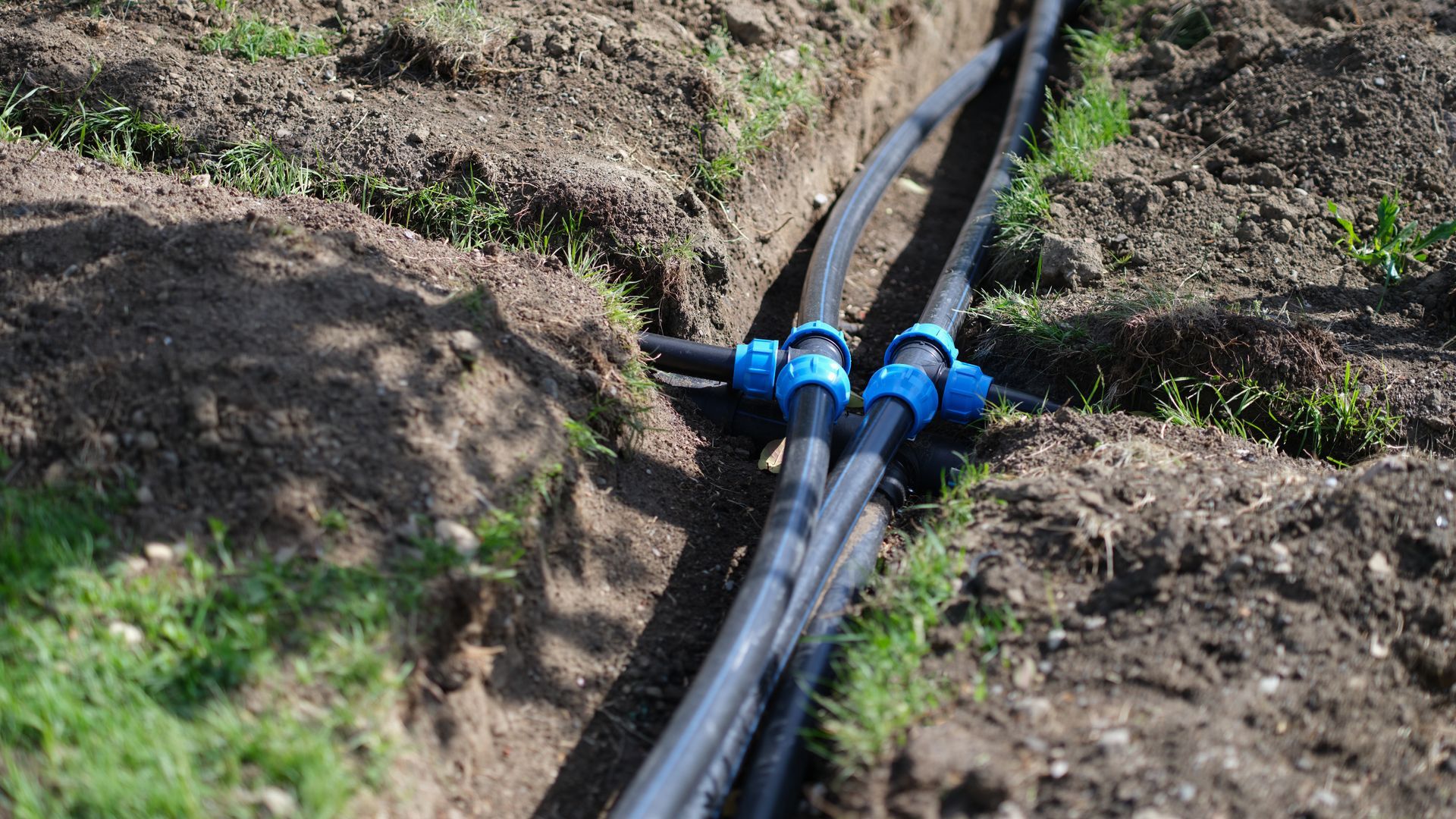 Black irrigation hoses with blue connectors laid in a dirt trench on a grassy hillside.