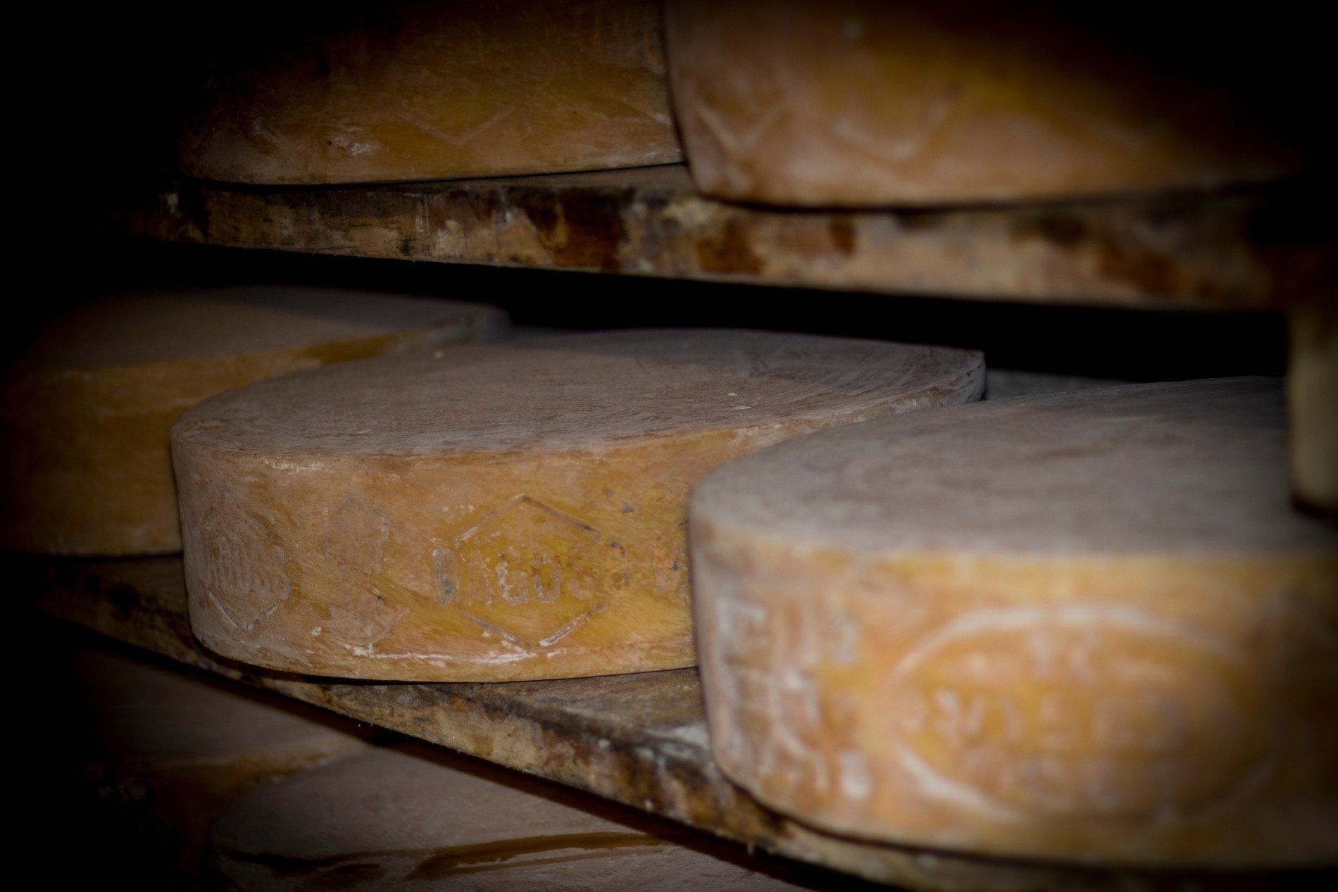 forma di formaggio stagionato