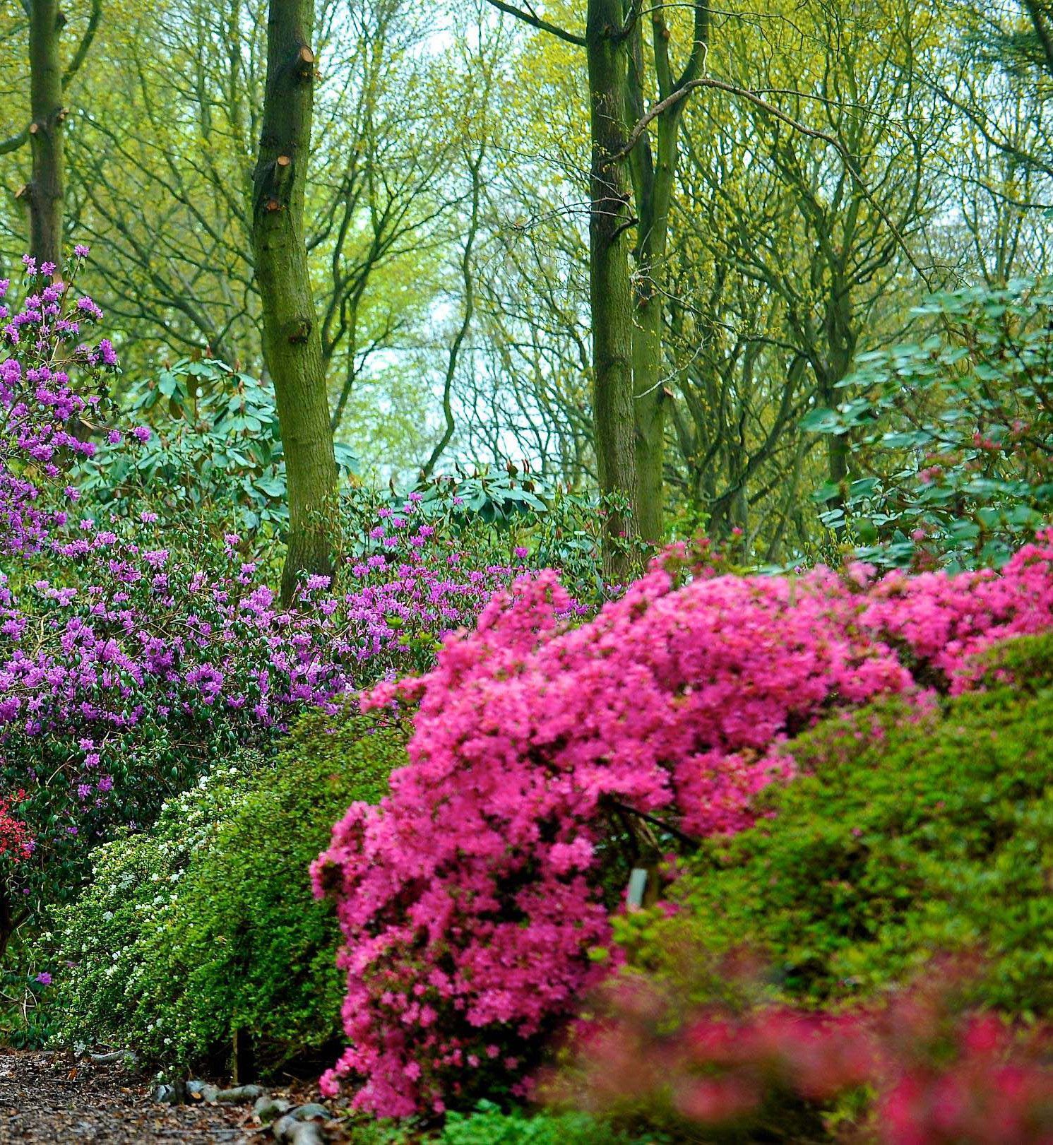 Garden centre