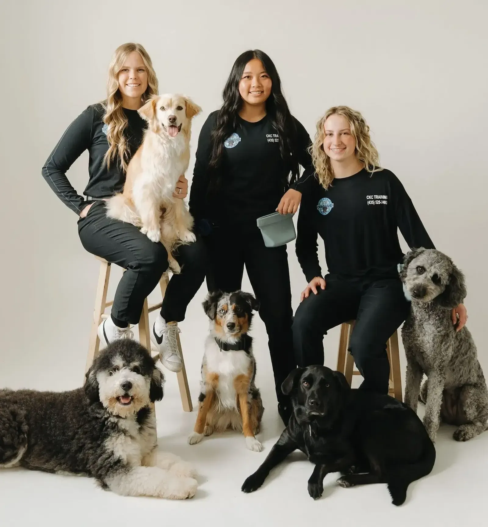 Team of professional trainers with four well behaved dogs, expert obedience training in St. George Utah
