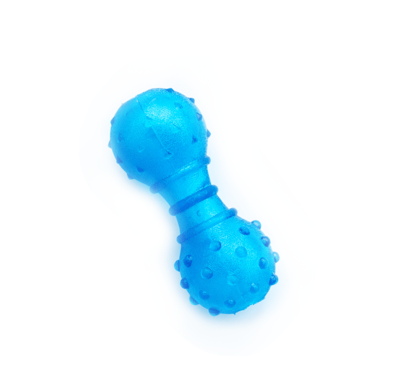 Blue rubber dog toy shaped like a dumbbell with textured knobs on each end.