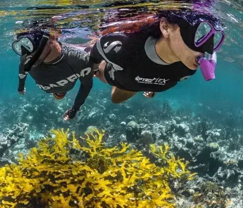 Scuba Diving Accessories