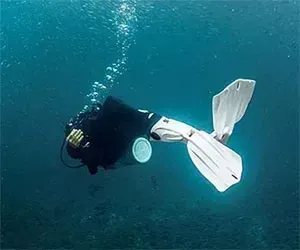 Scuba Diving Fins