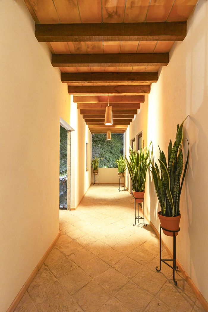 A long hallway with a wooden ceiling and potted plants