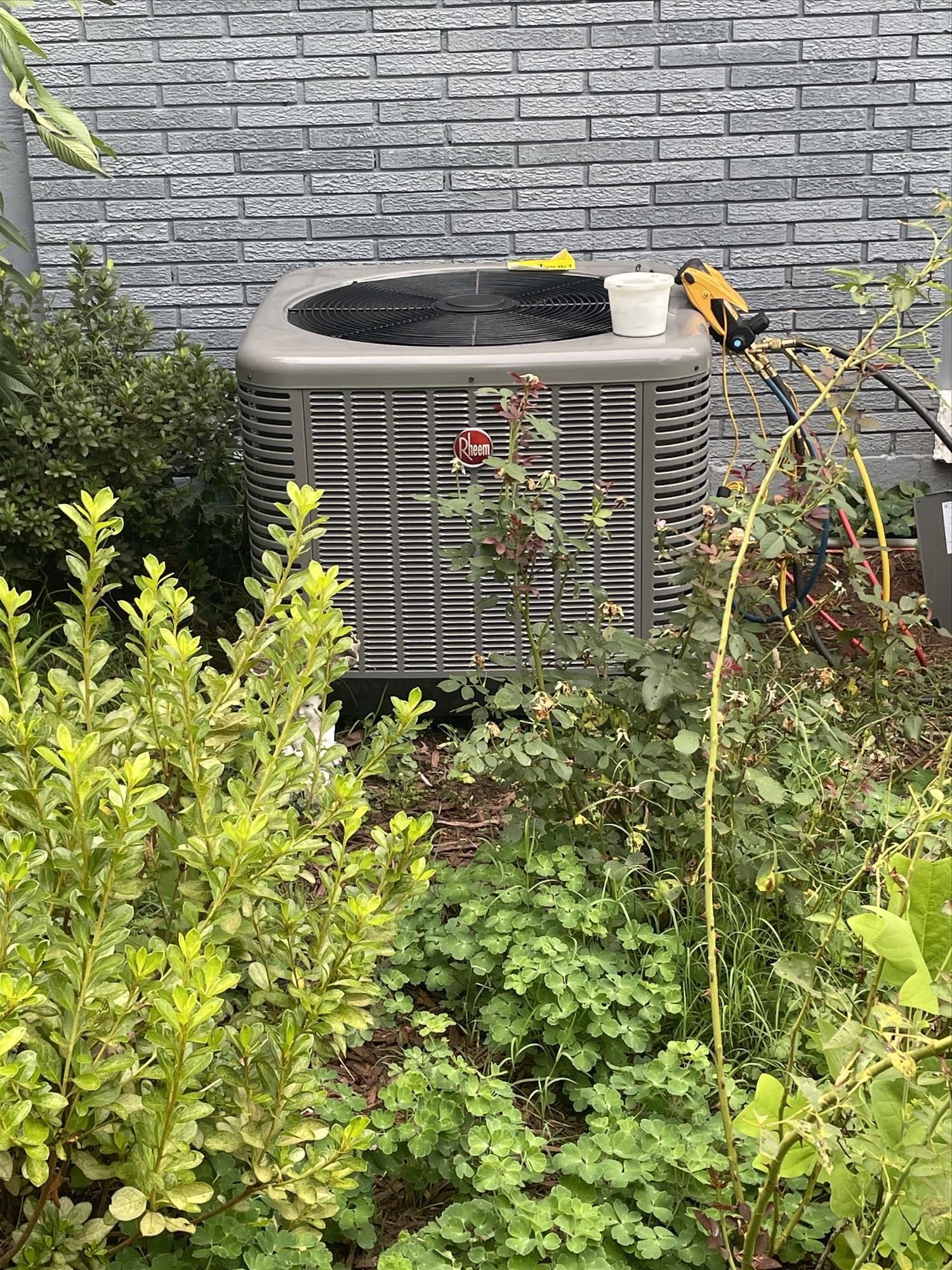 Air conditioning unit surrounded by green plants in front of a grey brick wall.